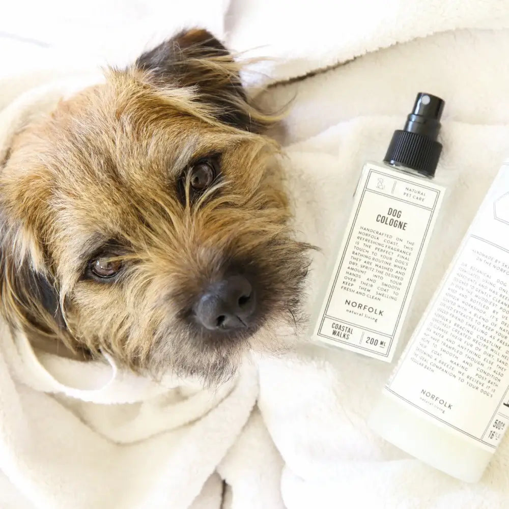 Norfolk Natural Living Dog Cologne - Coastal Walks 200ml