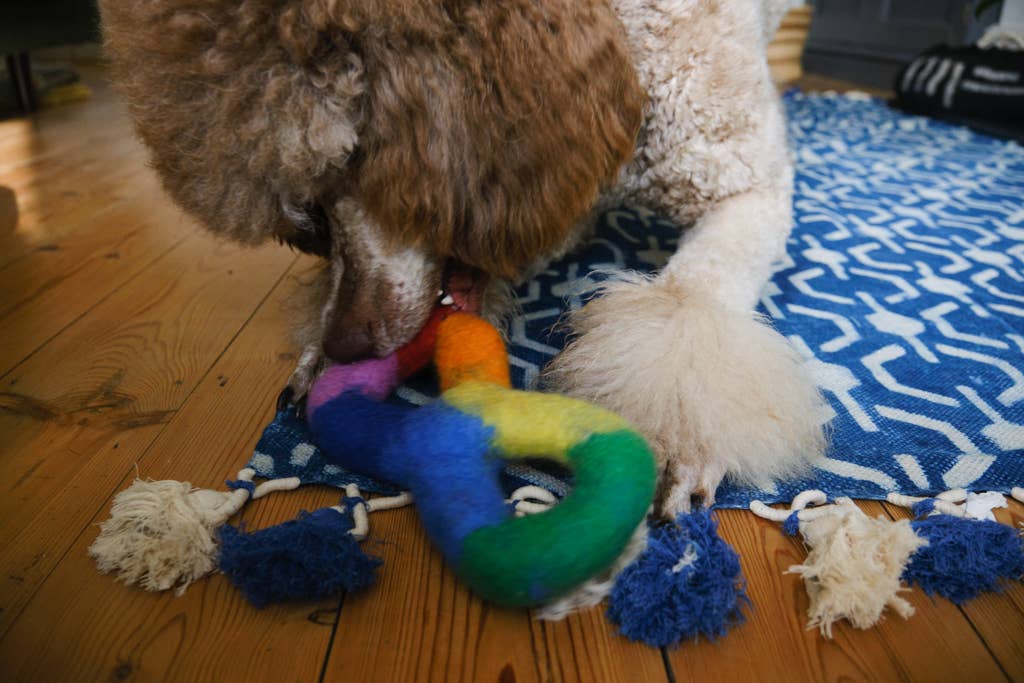 Hiro + Wolf Rainbow Felted Dog Tug Toy