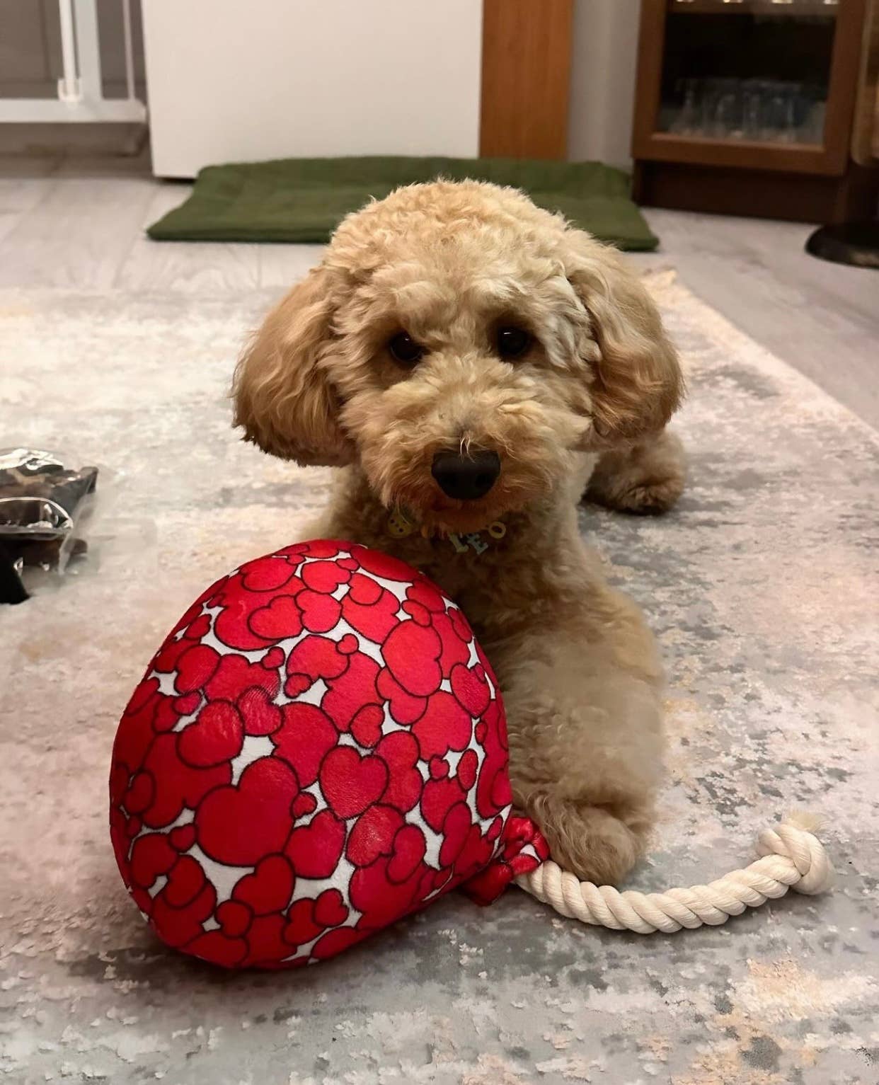 WufWuf Love is in the Air, Balloon-Shaped Rope Toy