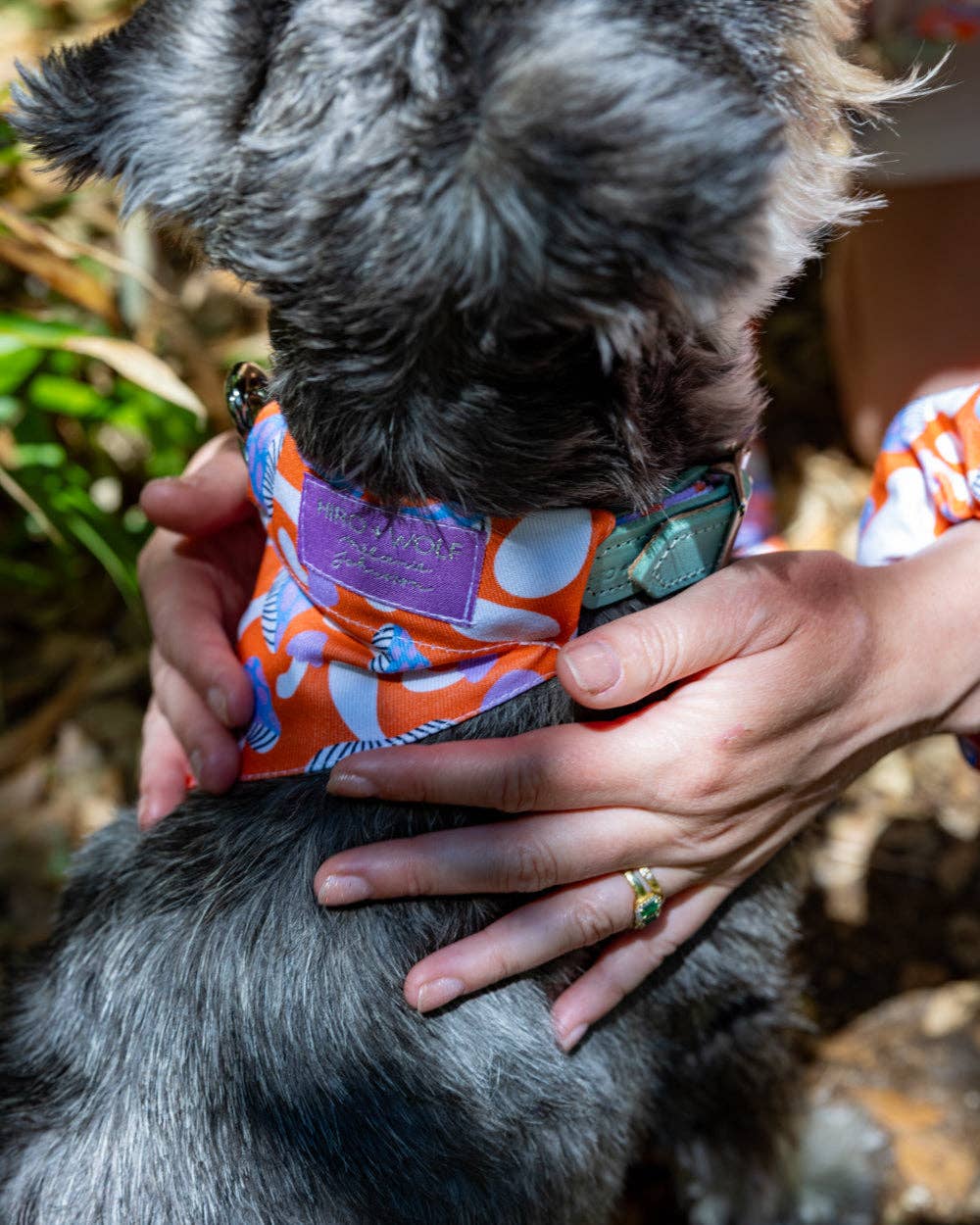 Magical Mushrooms Dog Bandana
