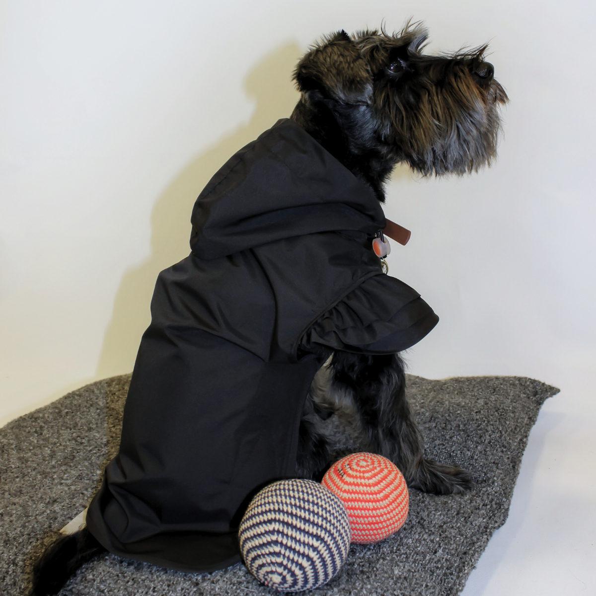 St. Pia Flutter Dog Raincoat