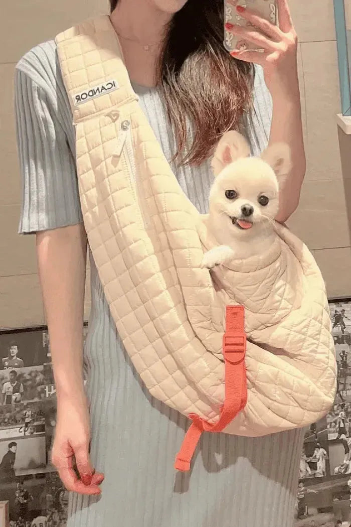 Dumpling Bag