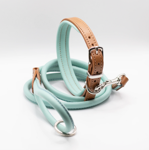 D&H Padded Leather Dog Collar Aqua and Tan