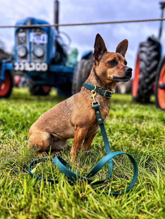 Storeys & Tails Green Biothane® All Weather Lead