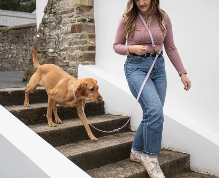 Storeys & Tails Lilac Adjustable All Weather Biothane® Lead