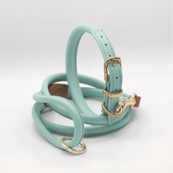 D&H Rolled Soft Leather Collar Aqua