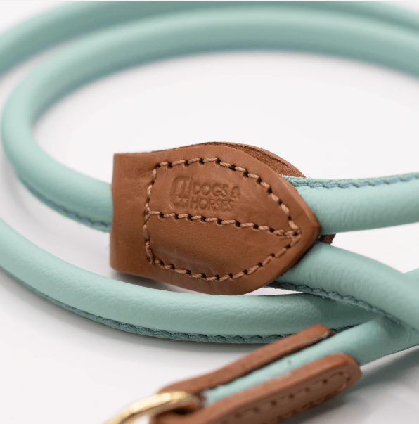 D&H Rolled Soft Leather Dog Lead Aqua