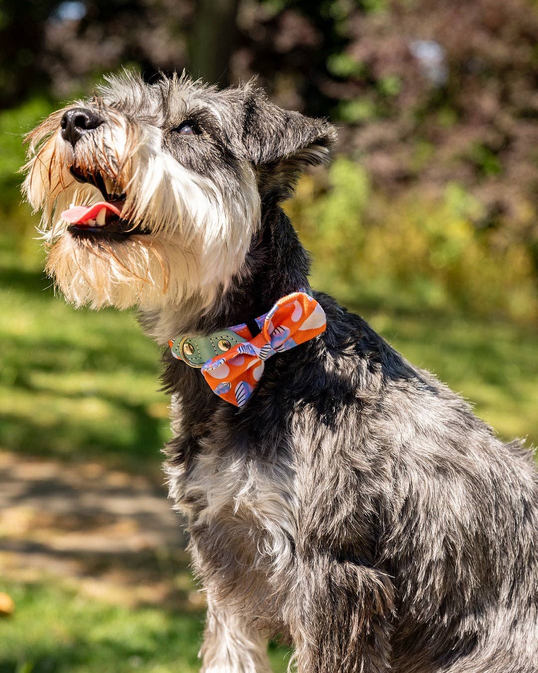 Hiro + Wolf Magical Mushrooms Dog Bow Tie