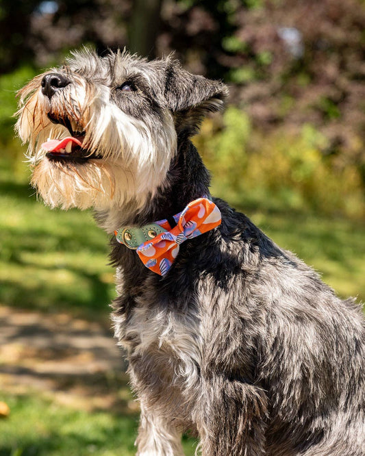 Hiro + Wolf Magical Mushrooms Dog Bow Tie