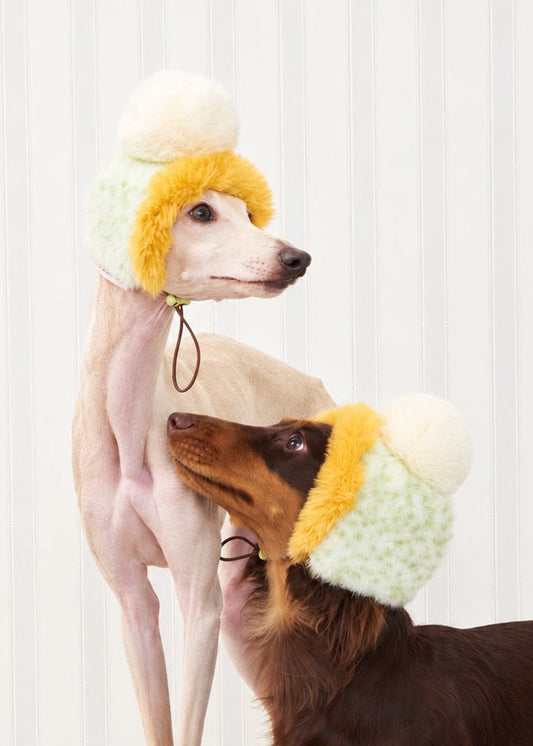FuzFuz Pom-Pom Dog Hat