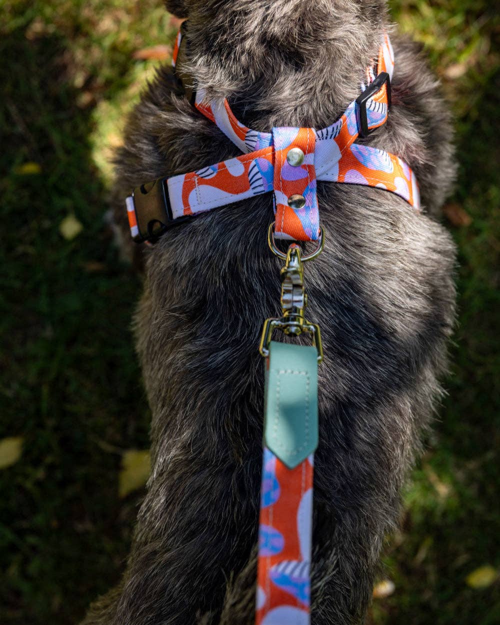 Hiro + Wolf Magical Mushrooms Classic Dog Lead