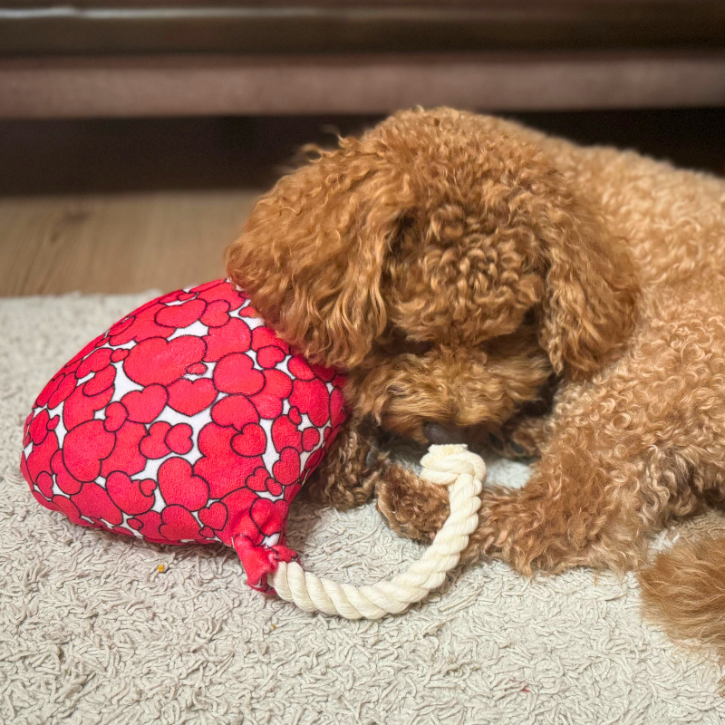 WufWuf Love is in the Air, Balloon-Shaped Rope Toy