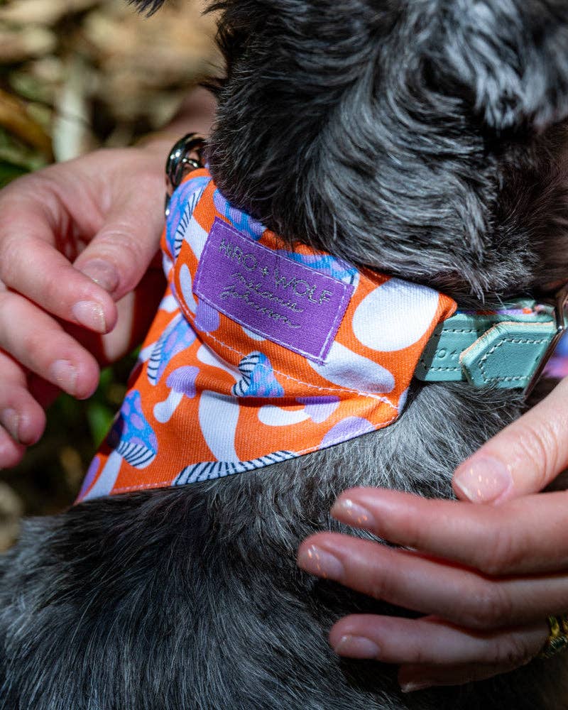 Magical Mushrooms Dog Bandana