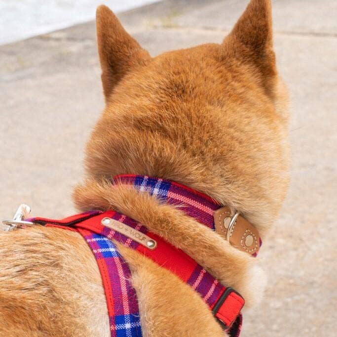 Shuka Red Dog Harness