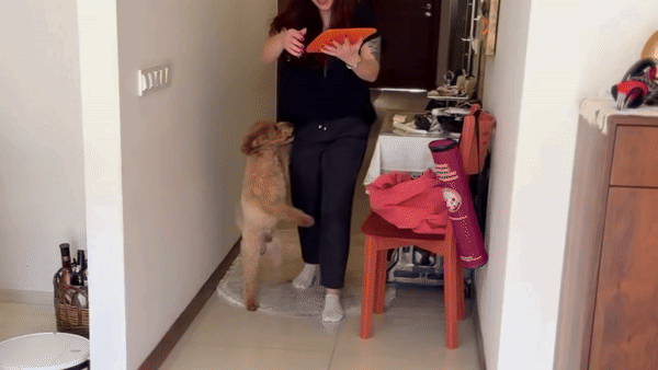 WufWuf&MyMeow TreatMate:An Earth-Friendly Treat Mat for Pets