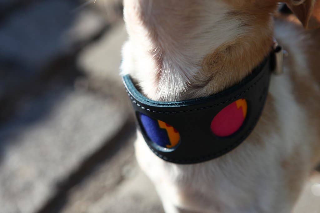 Hiro + Wolf Dakar Hound Collar