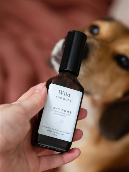 Love-Bomb Dog Fragrance