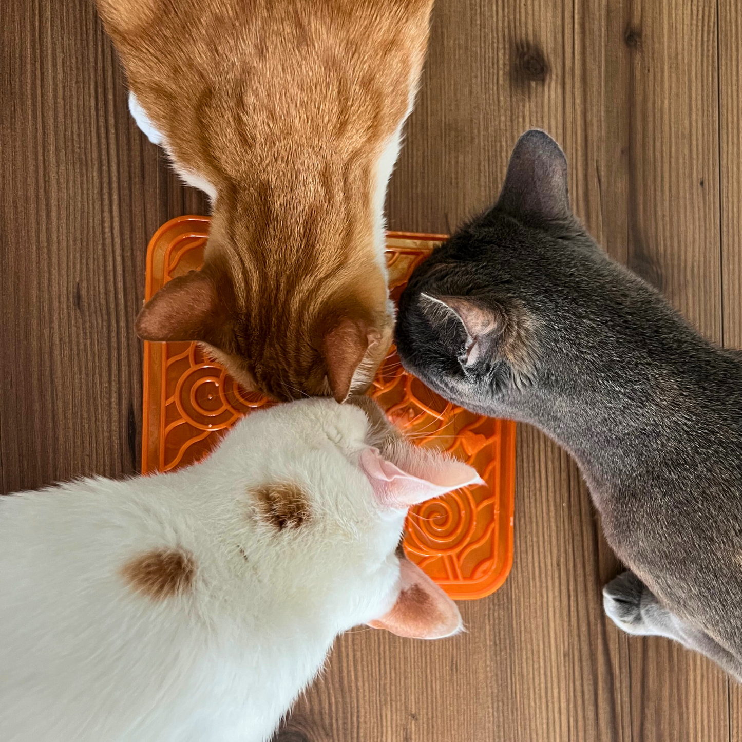WufWuf&MyMeow TreatMate:An Earth-Friendly Treat Mat for Pets