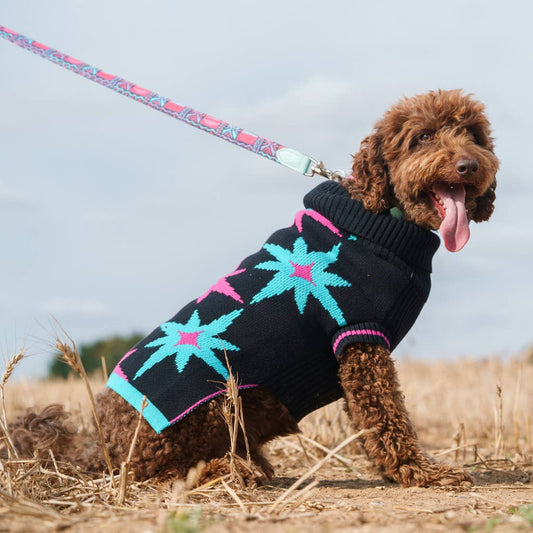 Hiro + Wolf 'Starry Night' Dog Jumper