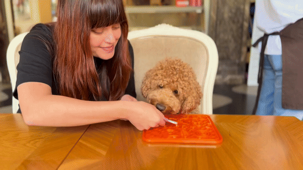 WufWuf&MyMeow TreatMate:An Earth-Friendly Treat Mat for Pets