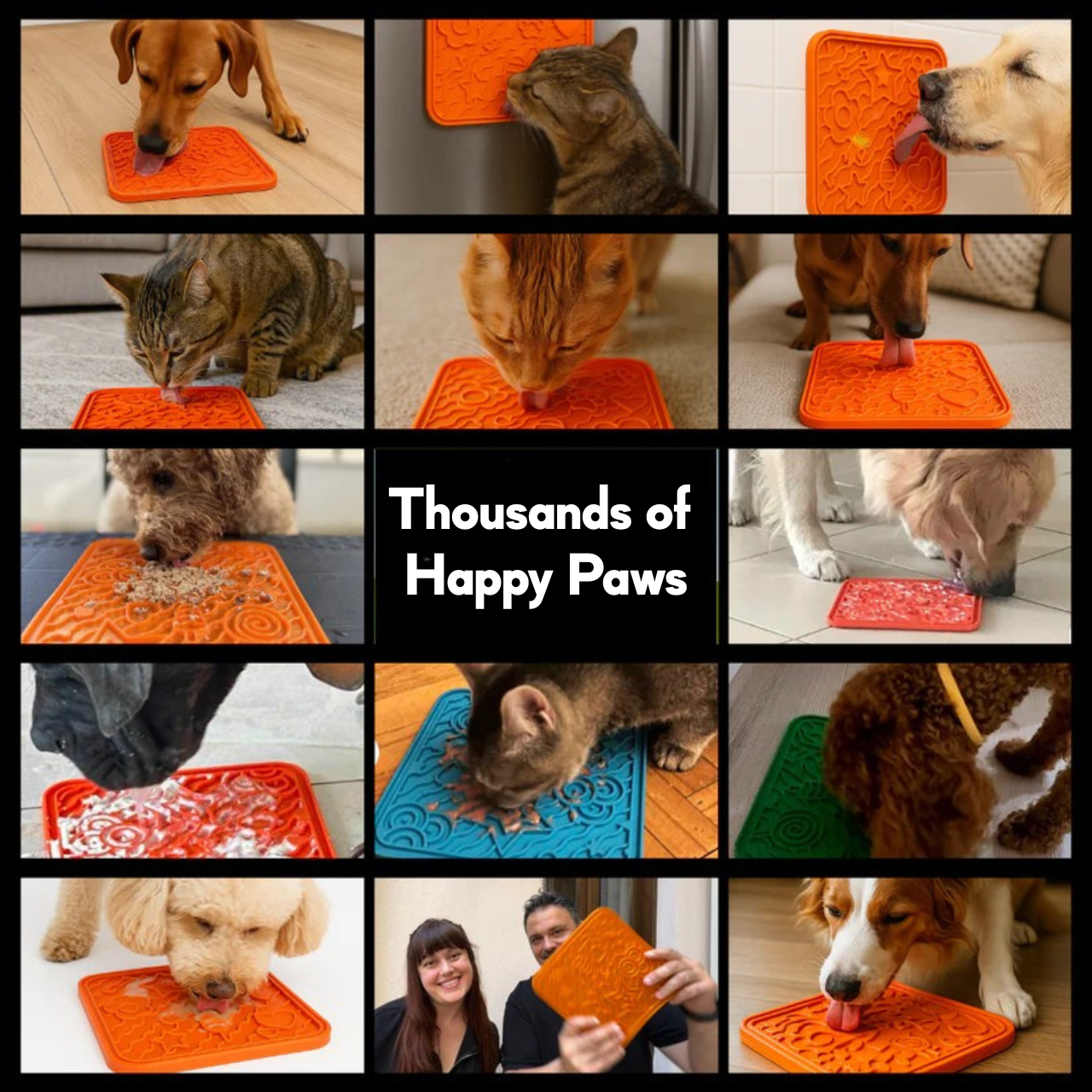 WufWuf&MyMeow TreatMate:An Earth-Friendly Treat Mat for Pets