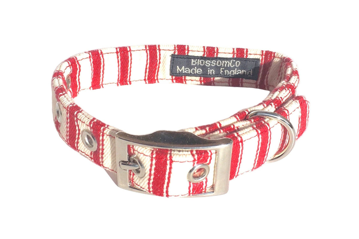 Seymour - Red Ticking Dog Collar