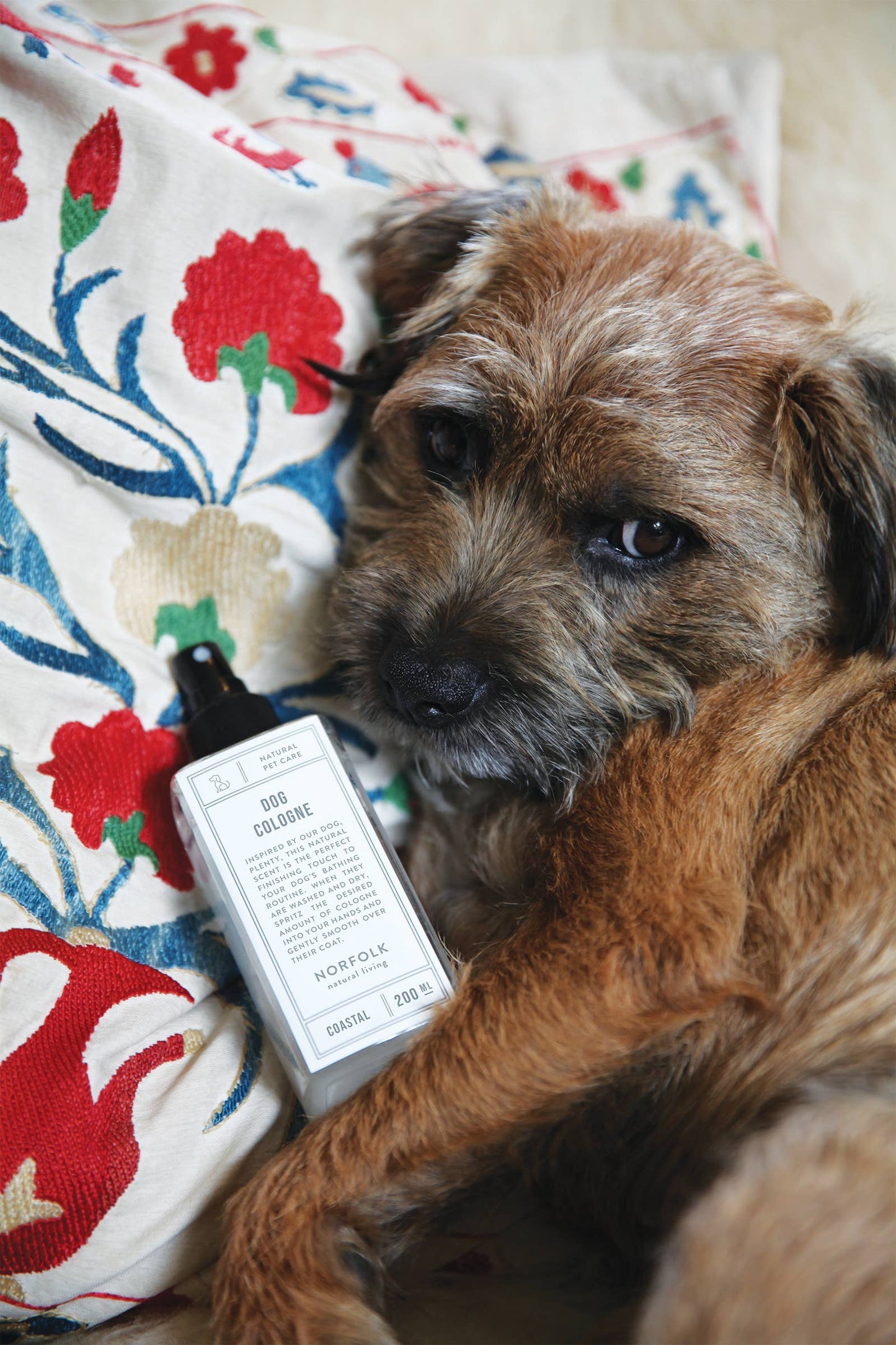 Norfolk Natural Living Dog Cologne - Coastal Walks 200ml