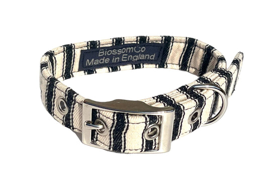 Paddington - Dog Collar
