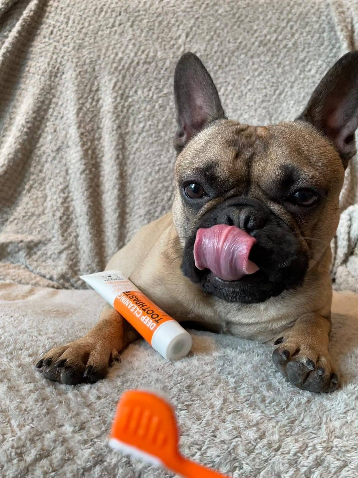 Dog Toothpaste and Toothbrush Set