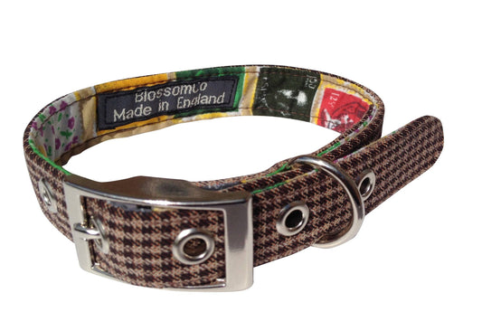 Wilbur/Stamp - Stylish Dog Collar