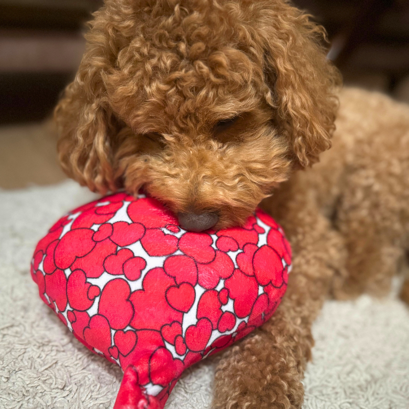 WufWuf Love is in the Air, Balloon-Shaped Rope Toy