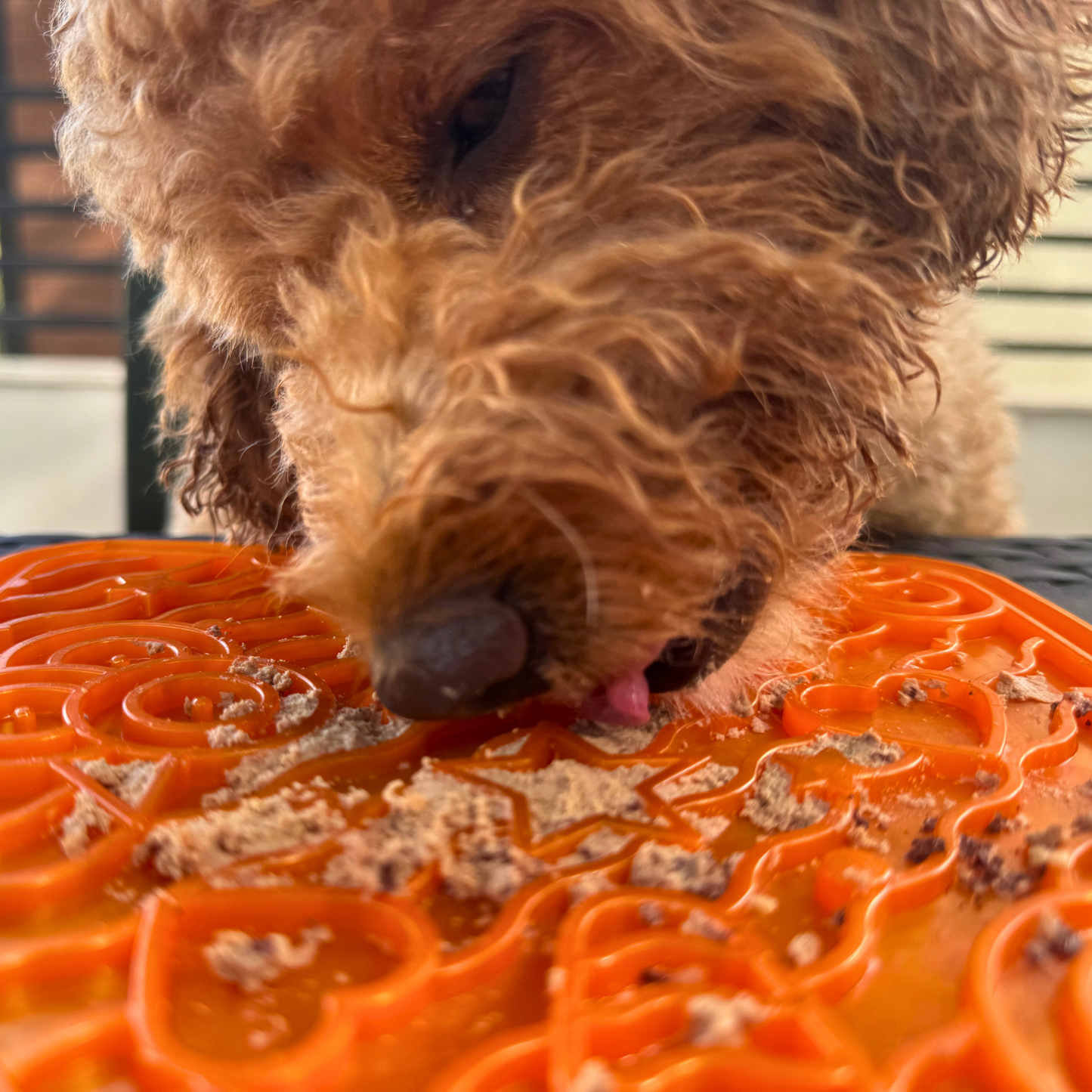 WufWuf&MyMeow TreatMate:An Earth-Friendly Treat Mat for Pets
