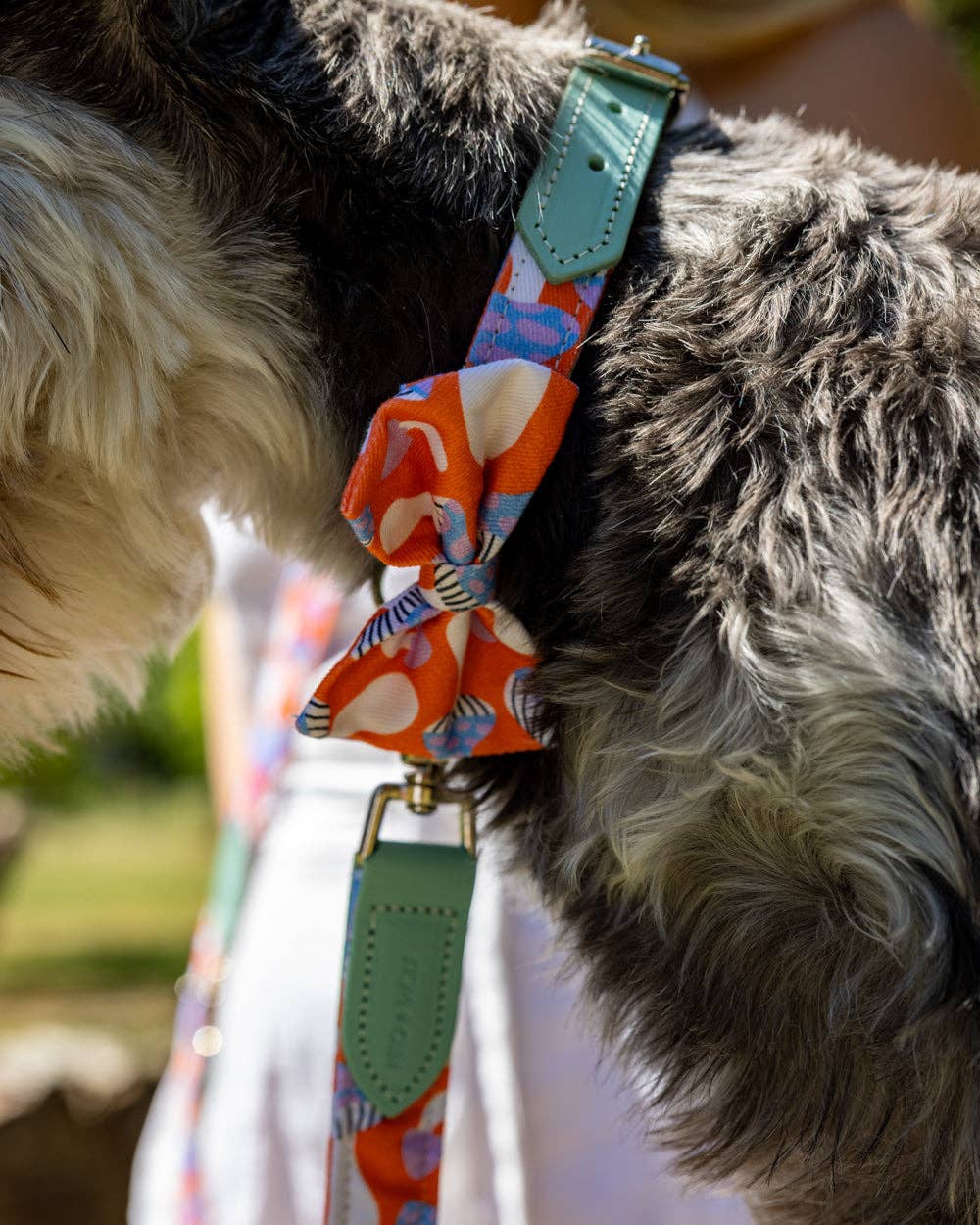 Hiro + Wolf Magical Mushrooms Dog Bow Tie