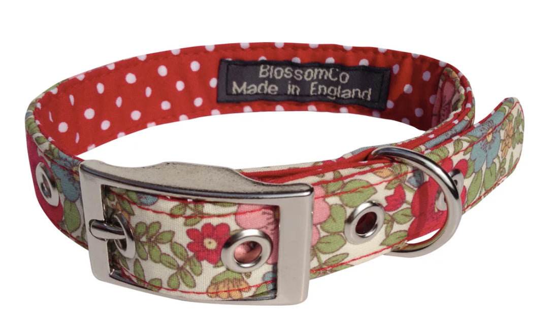 BlossomCo Alice - Dog Collar - Daisy's Dogs
