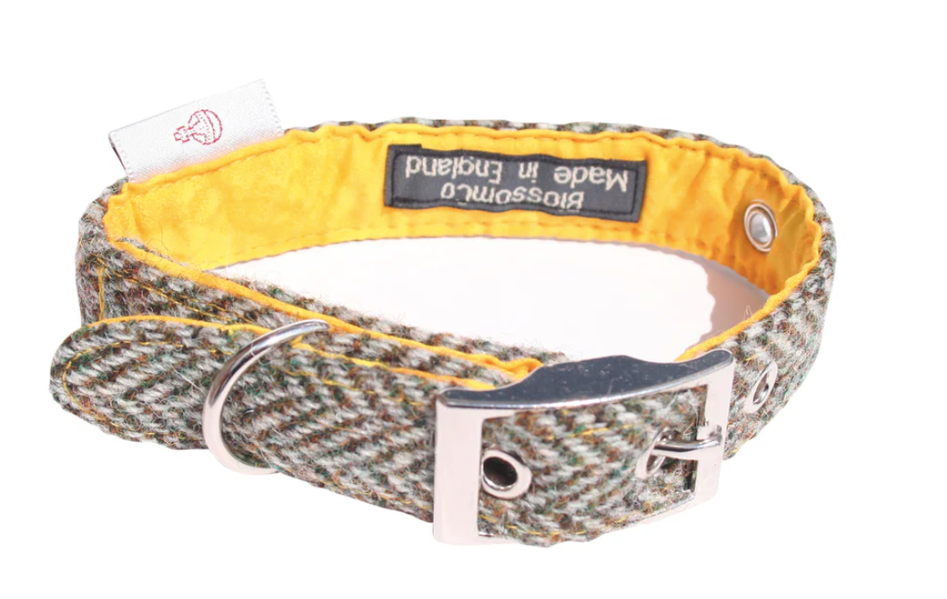 BlossomCo Eriskay - Harris Tweed Dog Collar