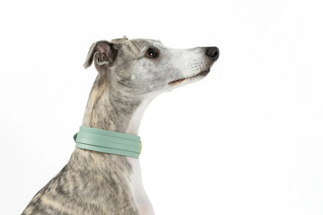 Storeys & Tails Sage Biothane® Sight hound All Weather Collar
