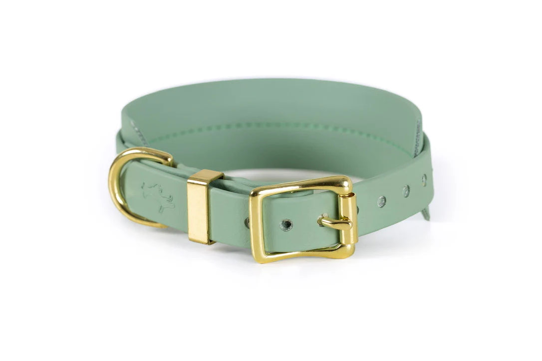 Storeys & Tails Sage Biothane® Sight hound All Weather Collar