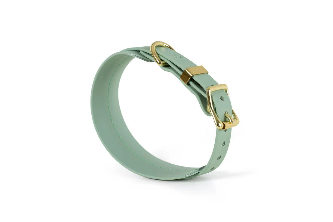 Storeys & Tails Sage Biothane® Sight hound All Weather Collar