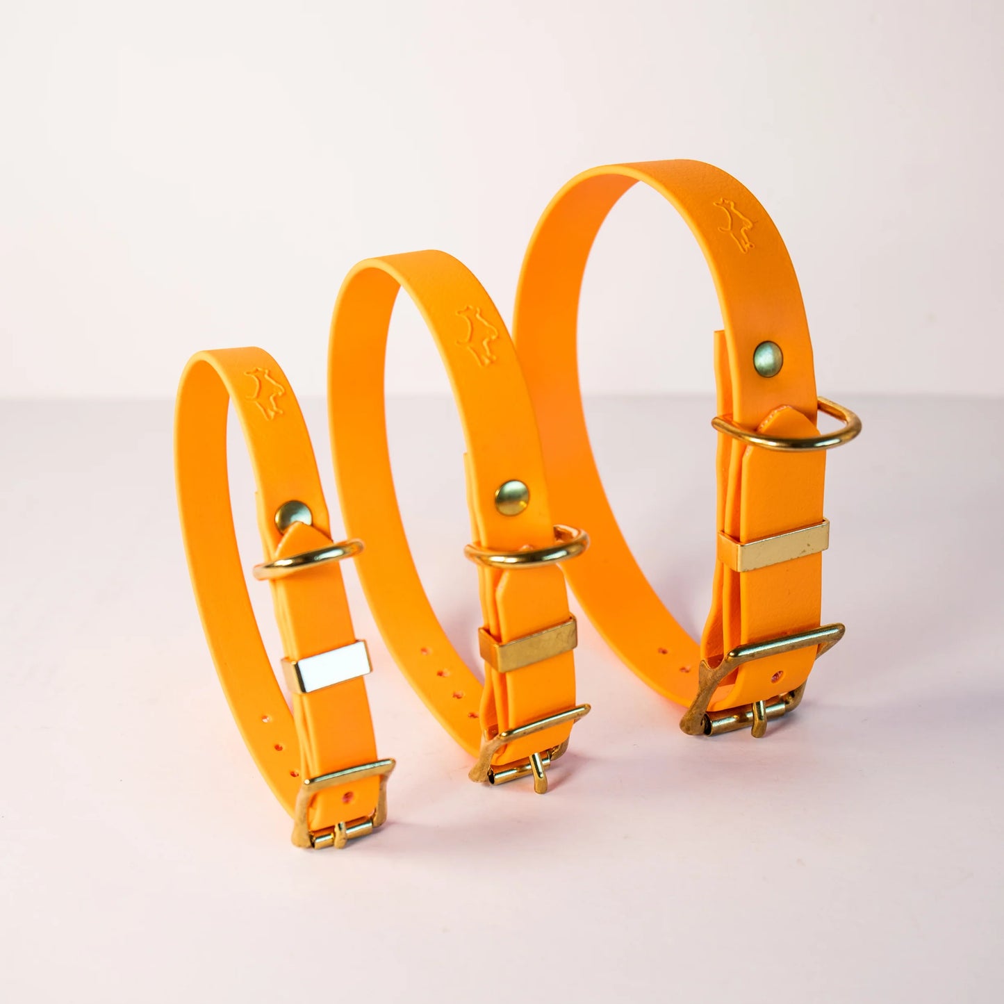 Storeys & Tails Orange Biothane® All Weather Collar