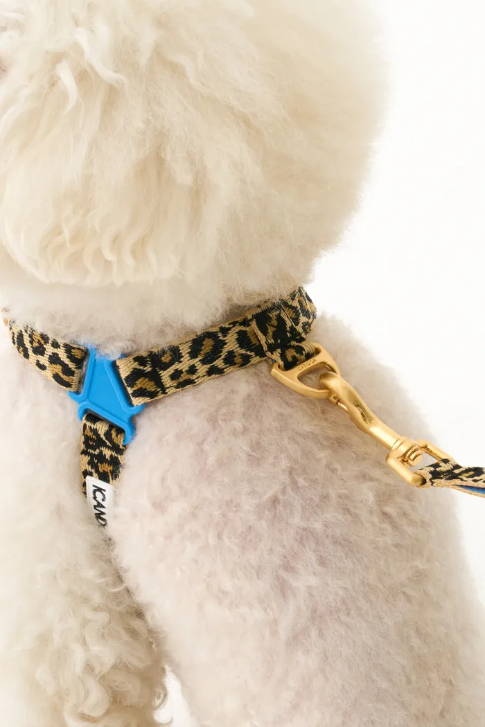 iCANDOR No-Pull Harness - Leopard