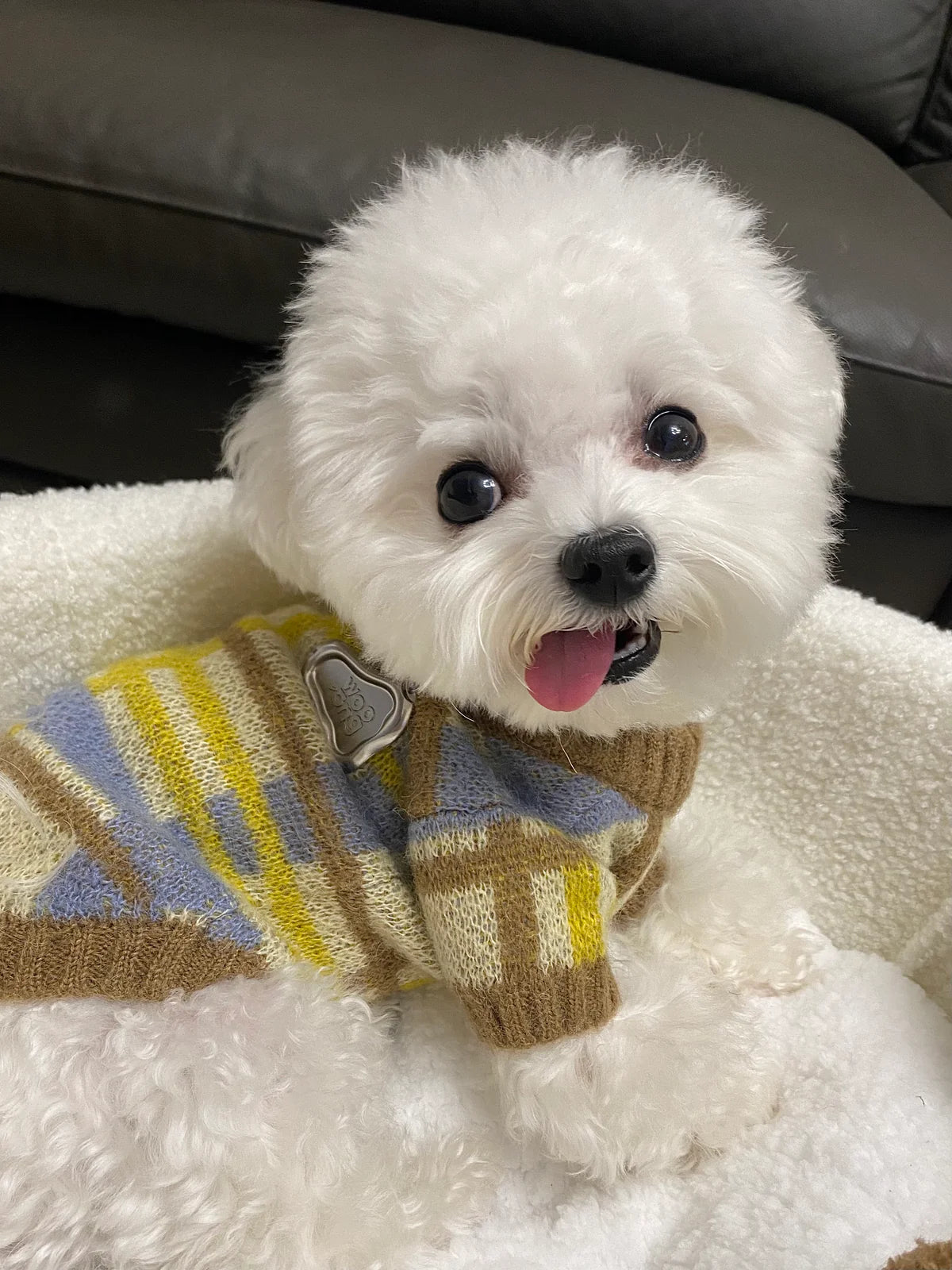 Alpaca & Mohair Check Jumper