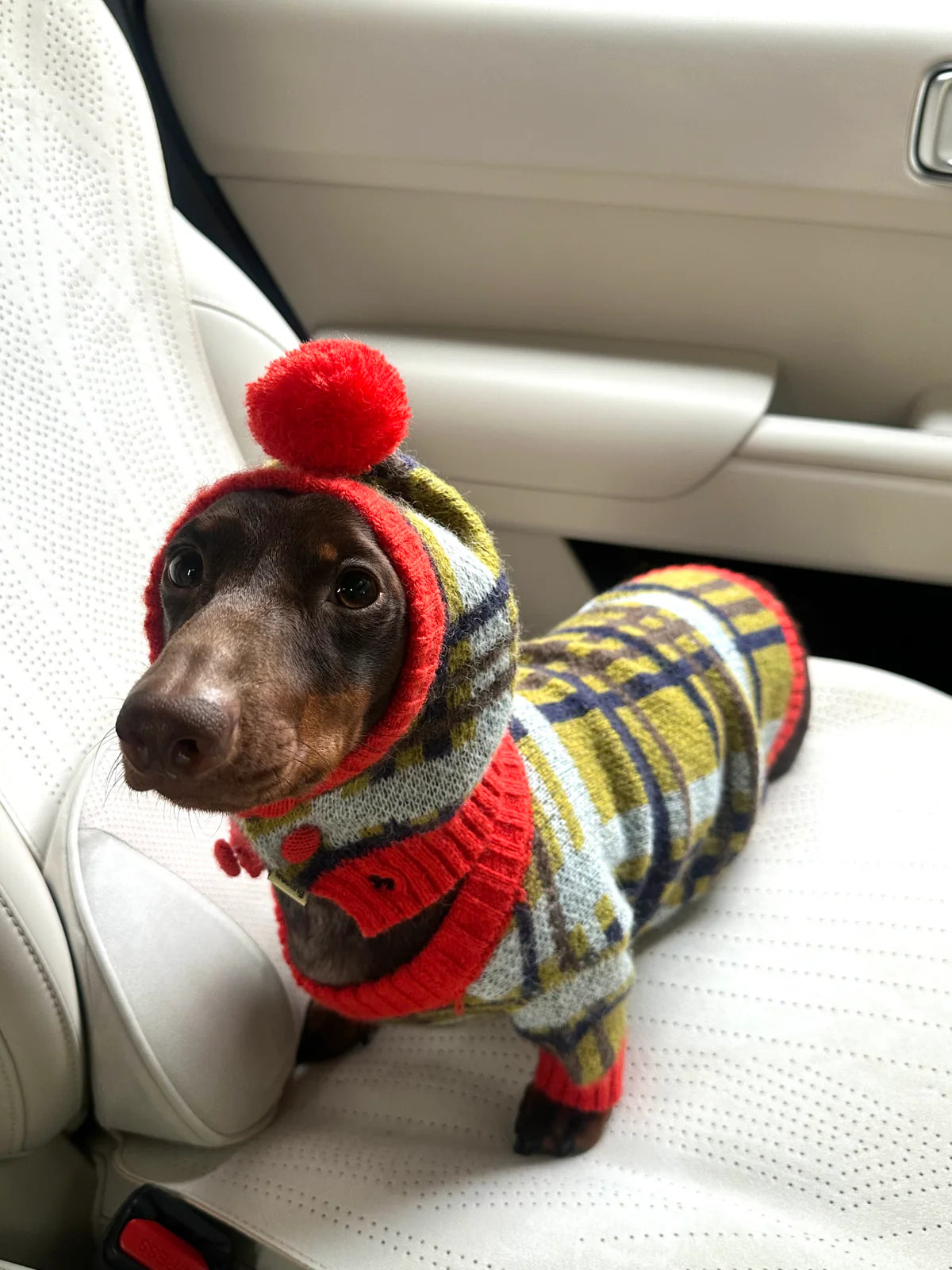 Alpaca & Mohair Check Jumper