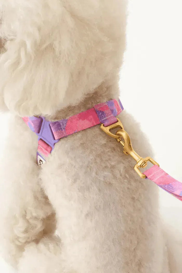 iCANDOR No-Pull Dog Harness - Milky Way