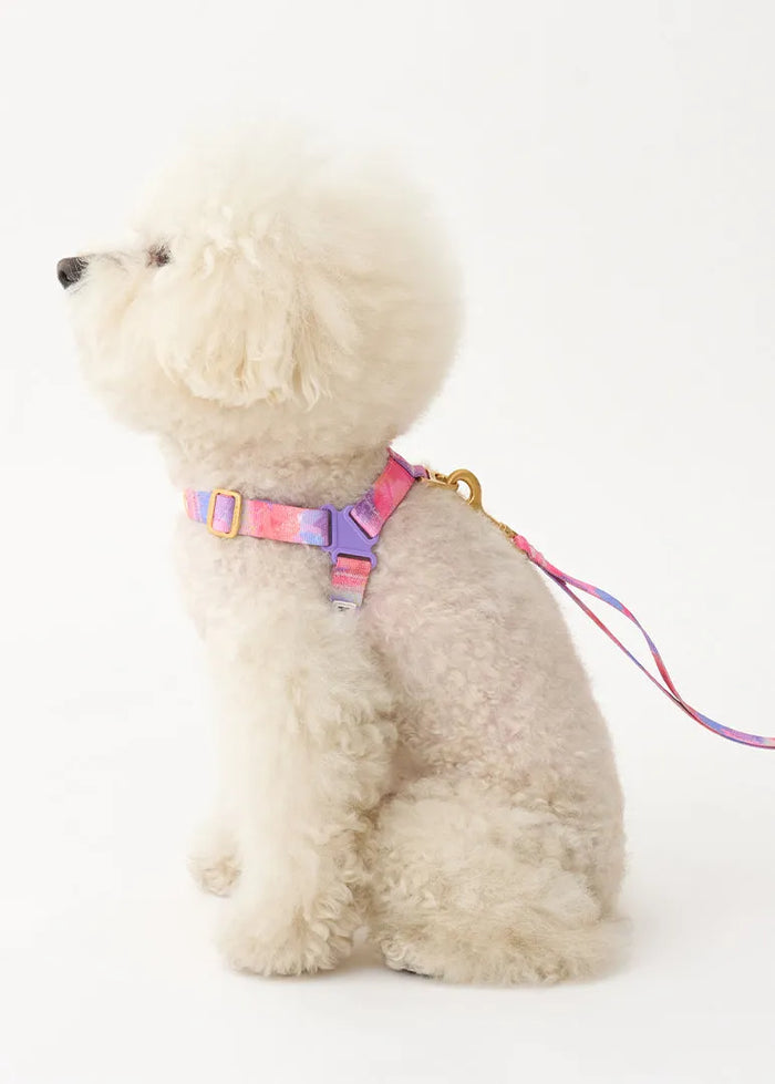 iCANDOR No-Pull Dog Harness - Milky Way