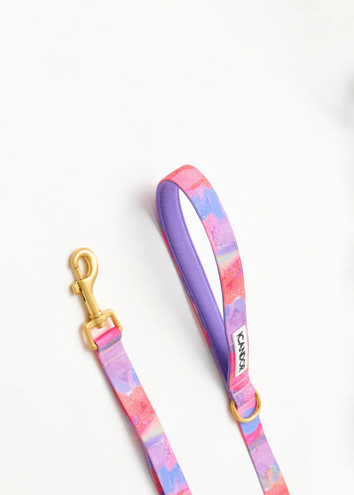 iCANDOR Gentle 2-Handle Dog Leash - Milky Way