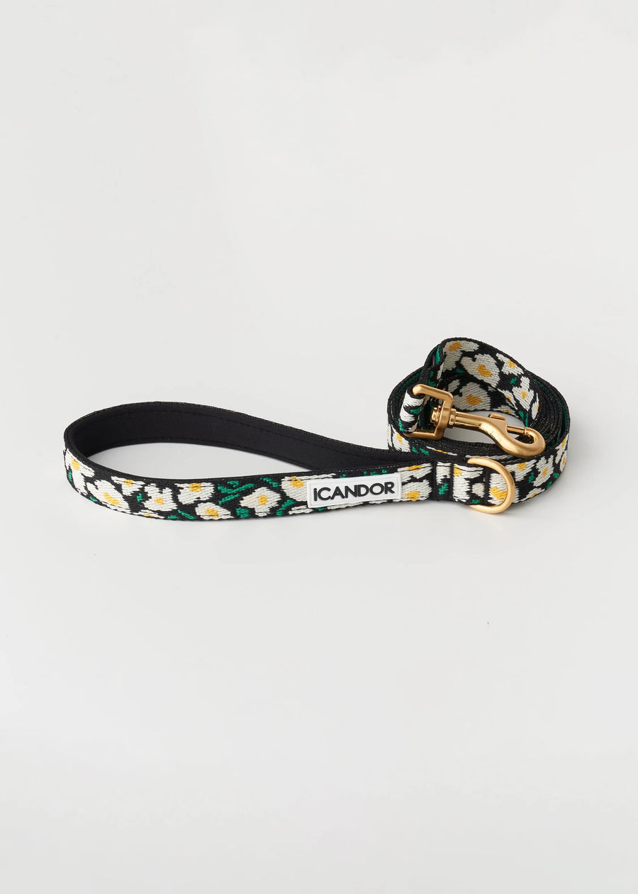 iCANDOR Gentle 2-Handle Dog Leash - Big Fish