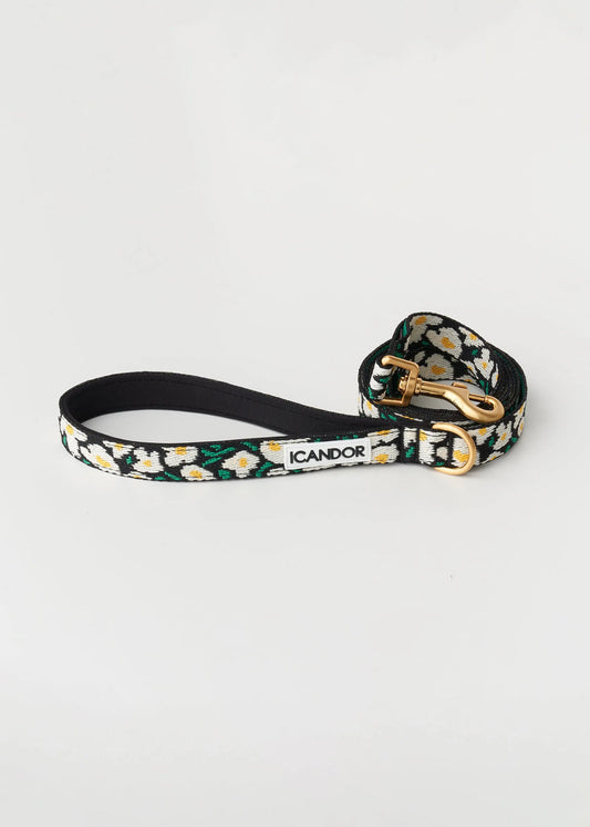 iCANDOR Gentle 2-Handle Dog Leash - Big Fish
