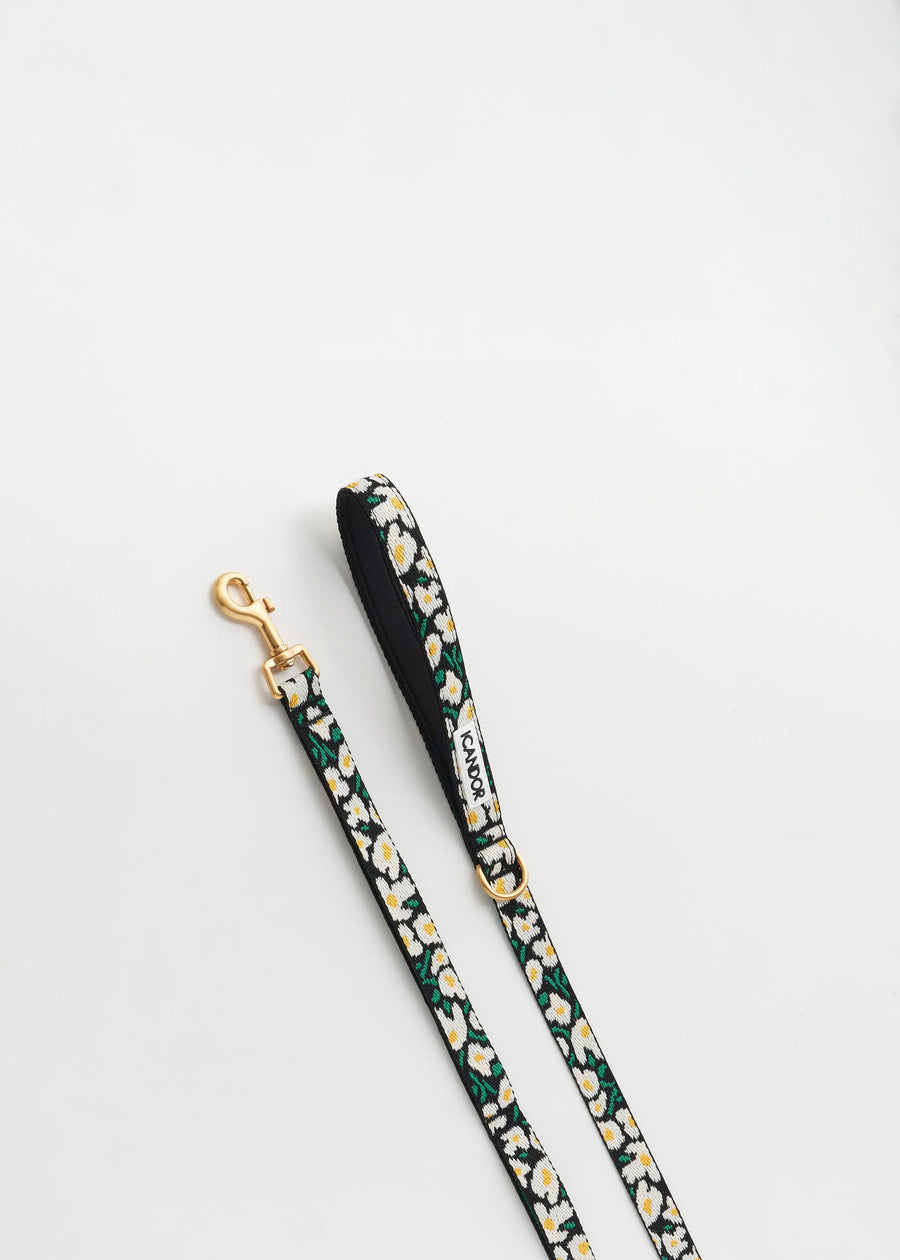 iCANDOR Gentle 2-Handle Dog Leash - Big Fish