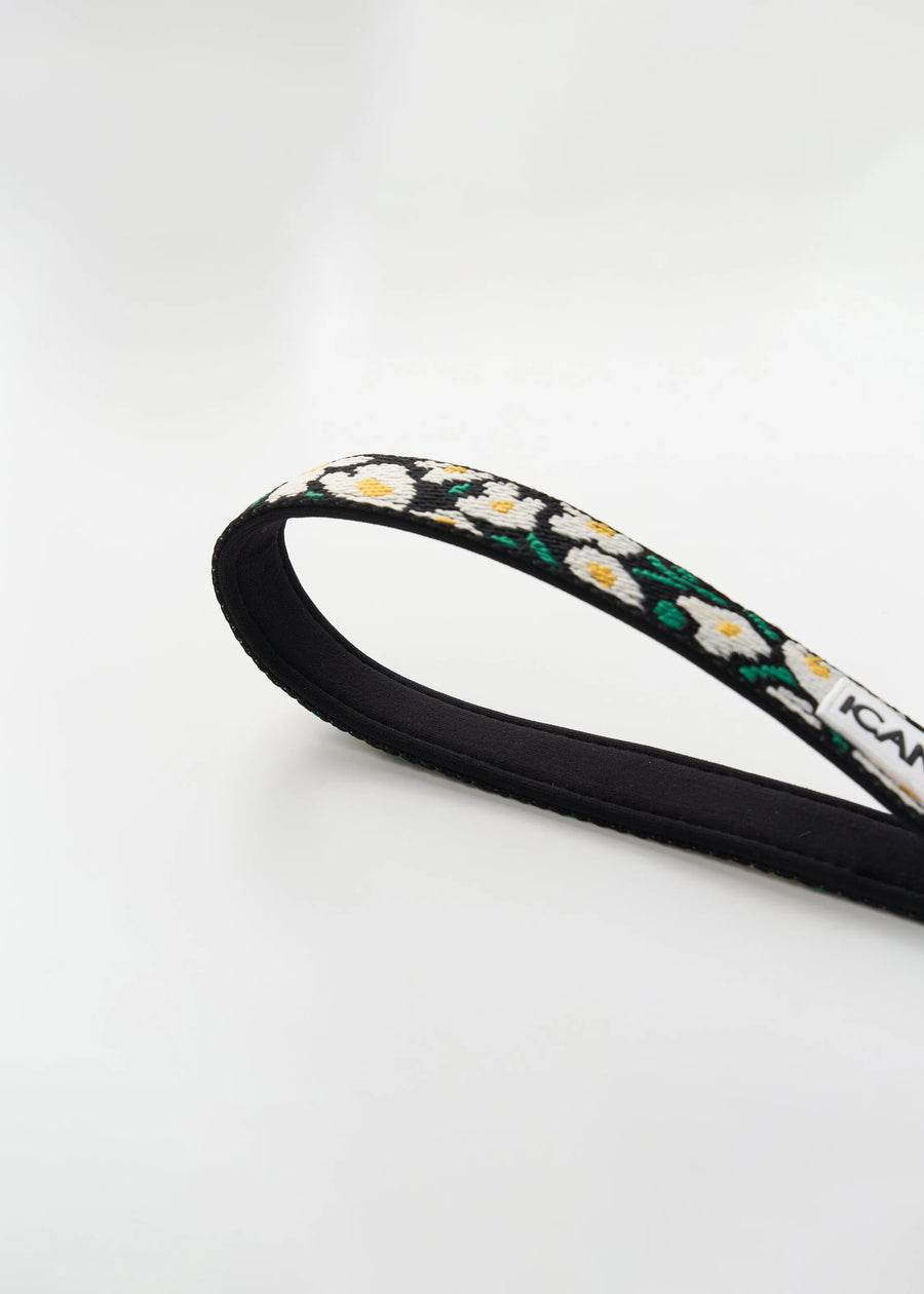 iCANDOR Gentle 2-Handle Dog Leash - Big Fish