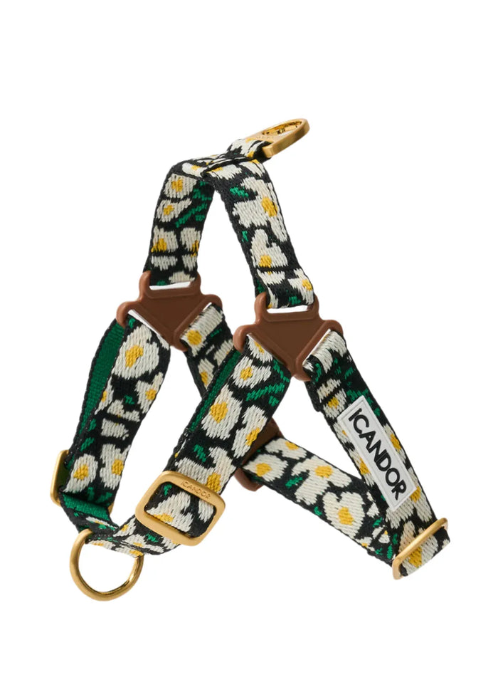 iCANDOR No-Pull Dog Harness - Big Fish